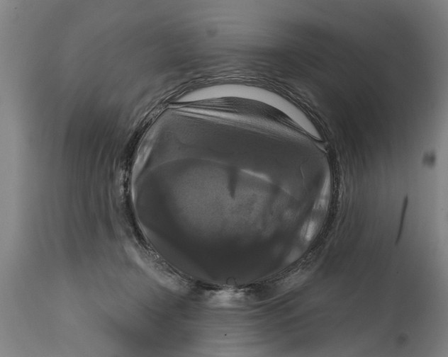 X0000114720366200911181410