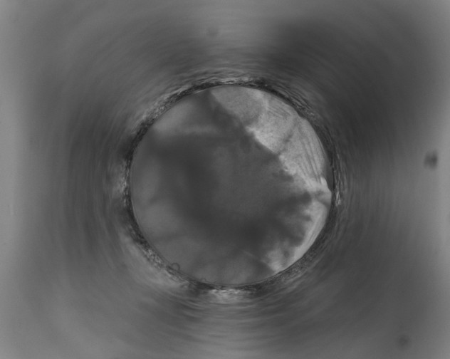 X0000114720367200911181410