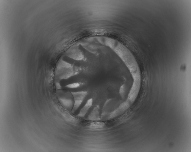 X0000114720369200911181410