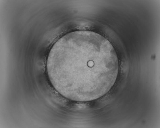 X0000114720370200911181410