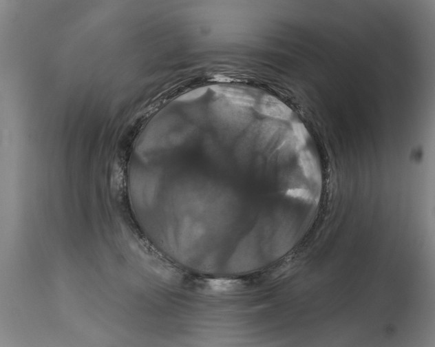 X0000114720371200911181410