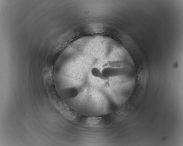 X0000114720373200911181410