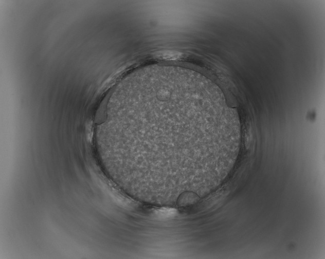 X0000114720374200911181410