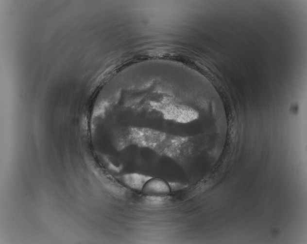 X0000114720375200911181410