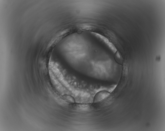 X0000114720377200911181410