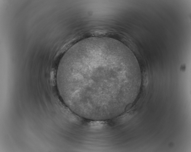 X0000114720378200911181410