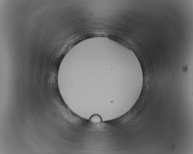 X0000114720379200911181410