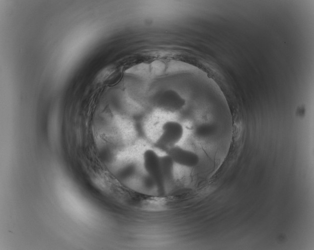 X0000114720381200911181410