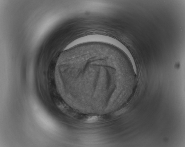 X0000114720382200911181410