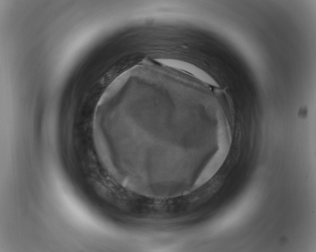 X0000114720383200911181410