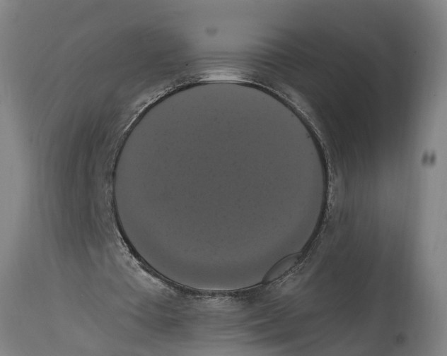 X0000114720385200911181409