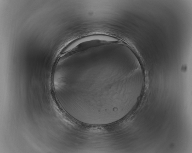 X0000114720386200911181409