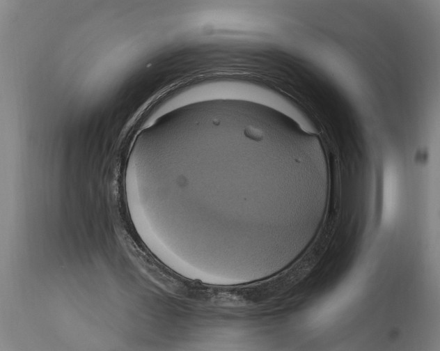 X0000114720387200911181409