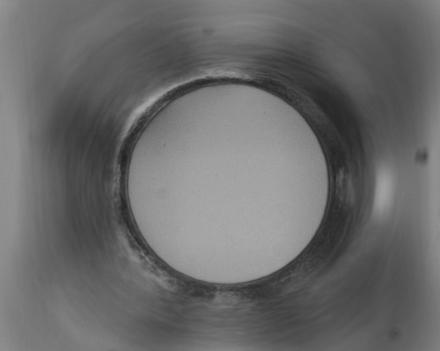 X0000114720388200911181409