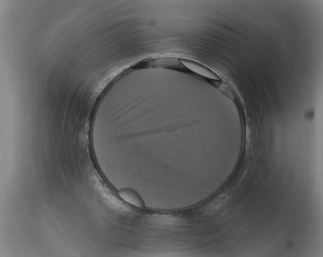 X0000114720389200911181409