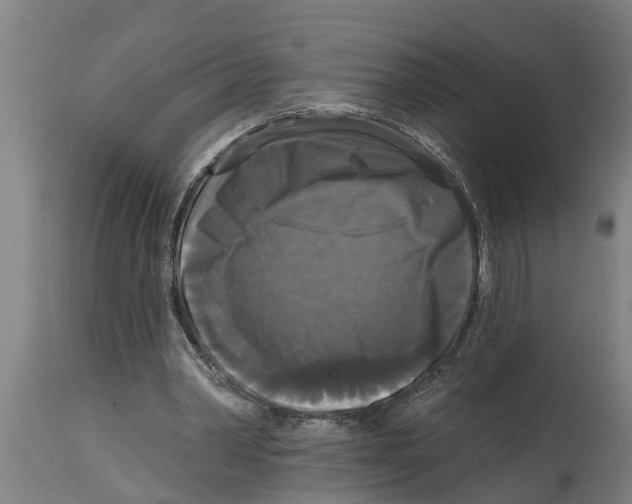 X0000114720390200911181409