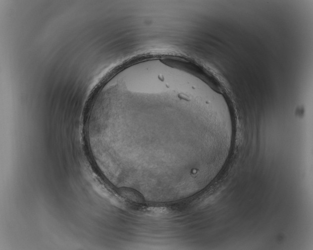 X0000114720391200911181409