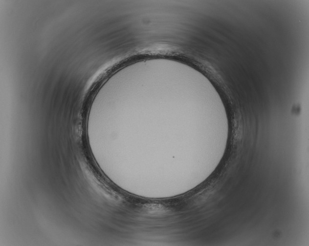 X0000114720392200911181409