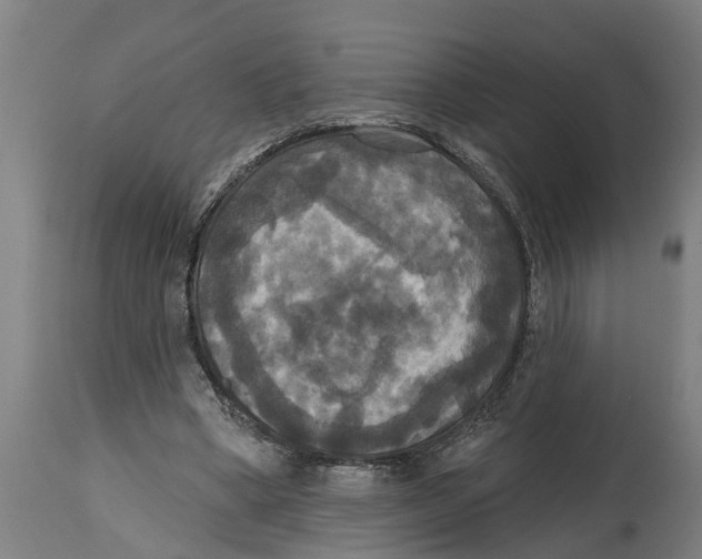 X0000114720394200911181409