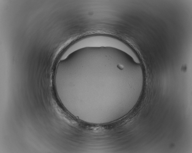 X0000114720395200911181409