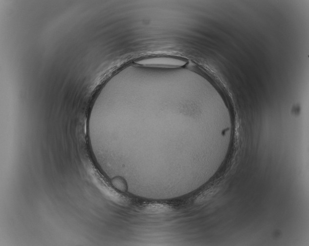 X0000114720397200911181409