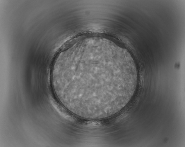 X0000114720398200911181409