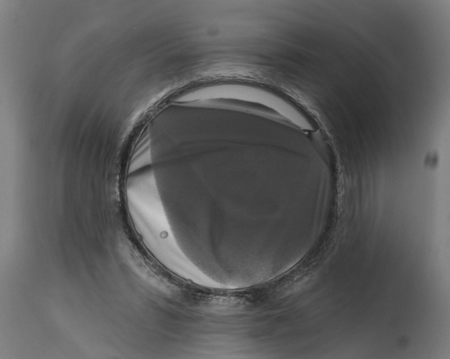 X0000114720399200911181409