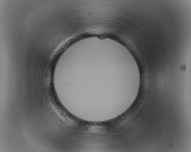 X0000114720400200911181409