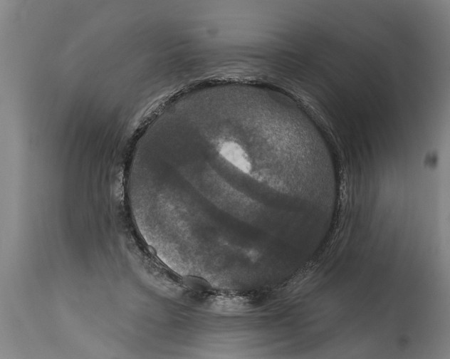 X0000114720403200911181409