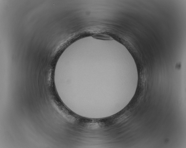 X0000114720404200911181409