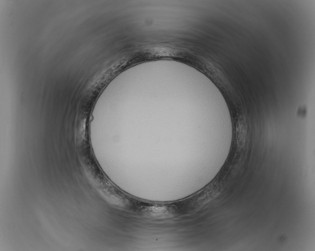 X0000114720406200911181409