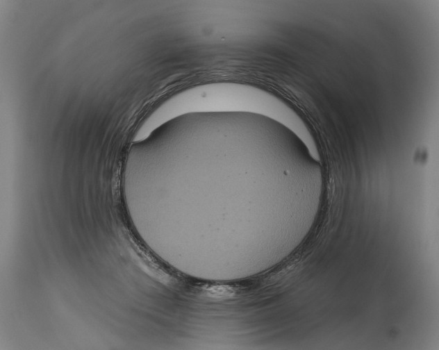 X0000114720409200911181409