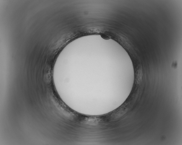 X0000114720414200911181409