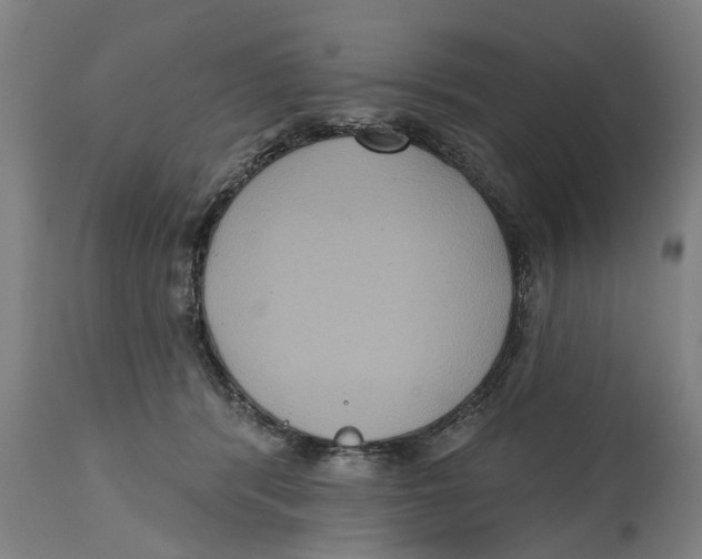 X0000114720416200911181409