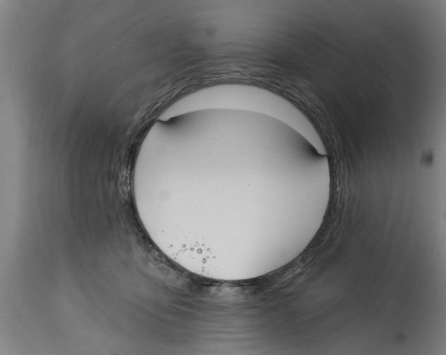 X0000114720419200911181409