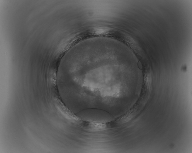 X0000114720421200911181409