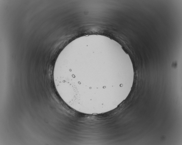 X0000114720423200911181409