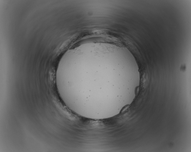 X0000114720424200911181409