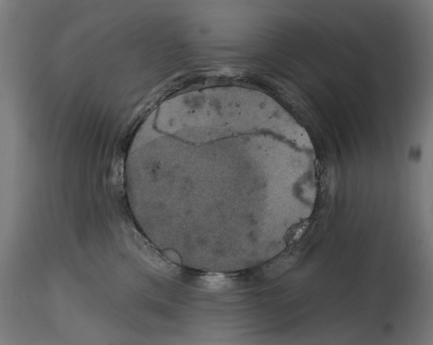 X0000114720425200911181409