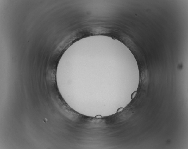 X0000114720426200911181409