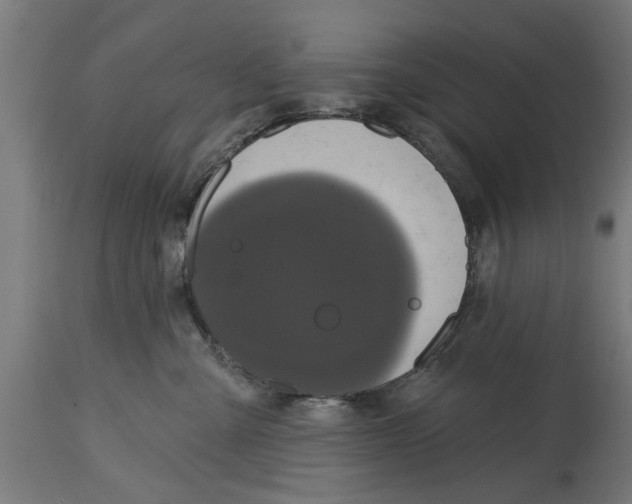 X0000114720427200911181409