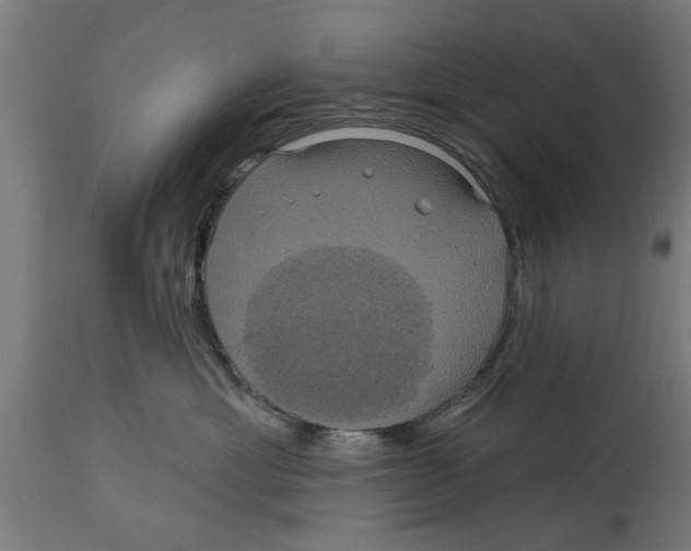 X0000114720429200911181409