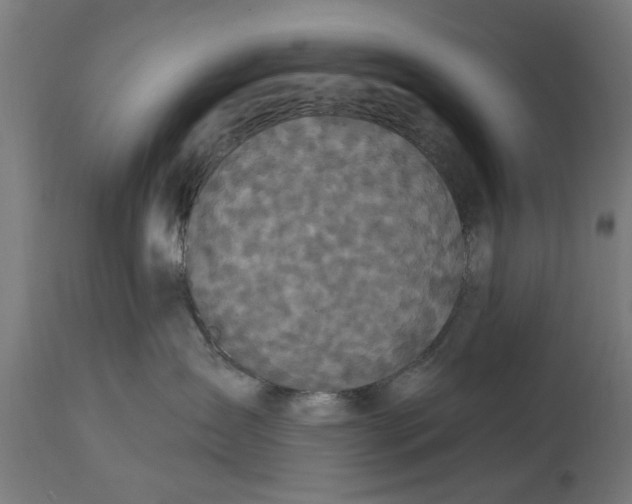 X0000114720431200911181409