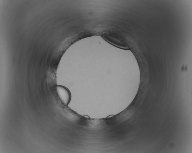 X0000114720432200911181409