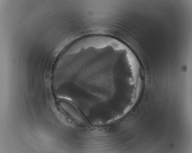 X0000114720434200911181408