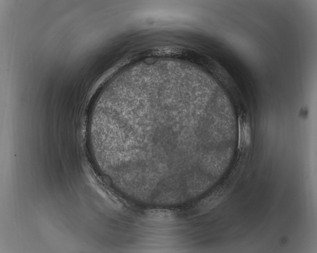 X0000114720435200911181408