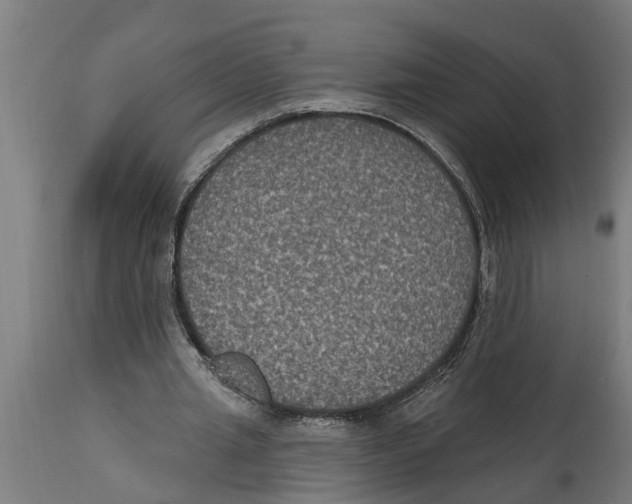 X0000114720437200911181408