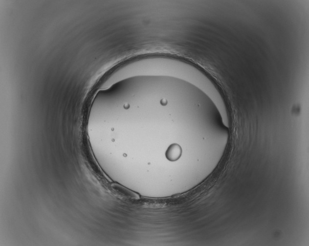 X0000114720440200911181408