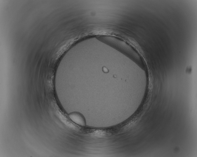 X0000114720441200911181408