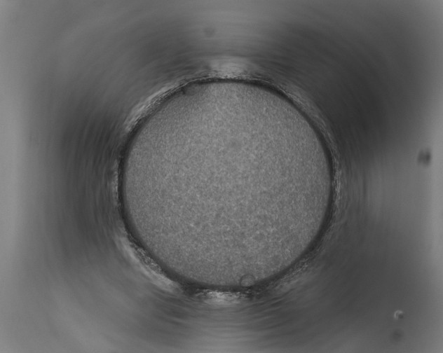 X0000114720442200911181408